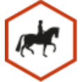 stalhexagon-paard