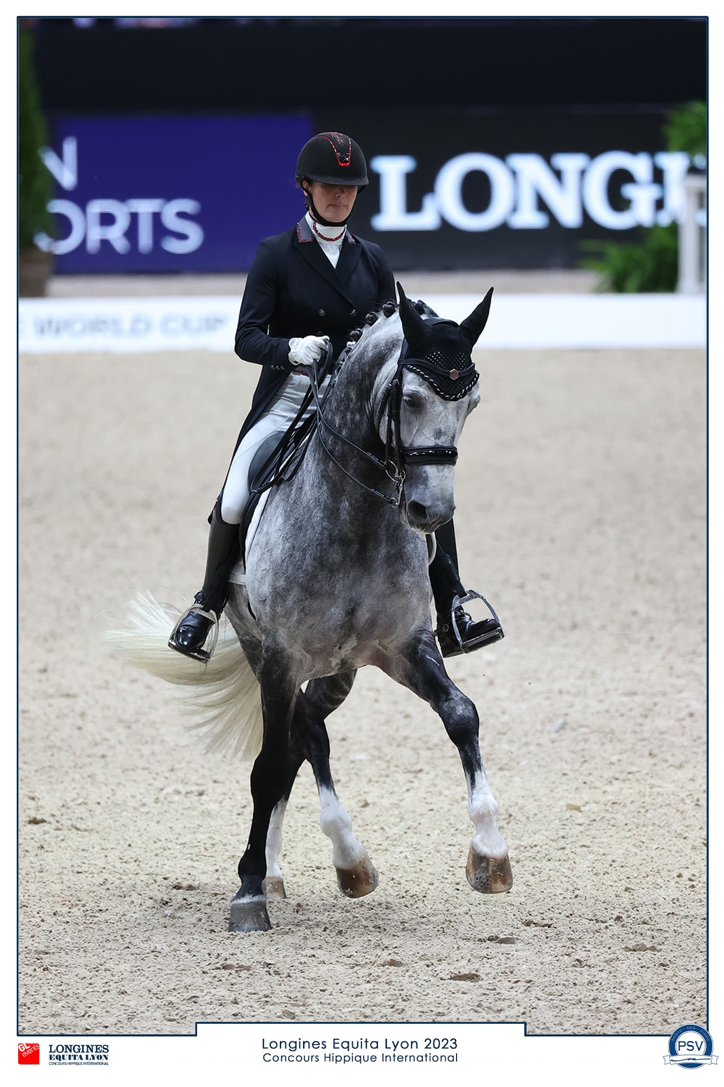23N834_1178 paard