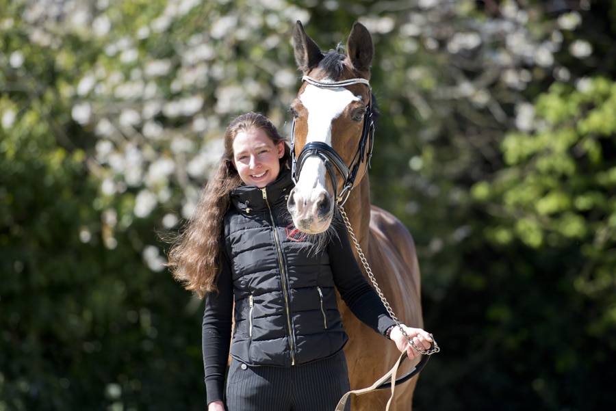 stalhexagon-paard