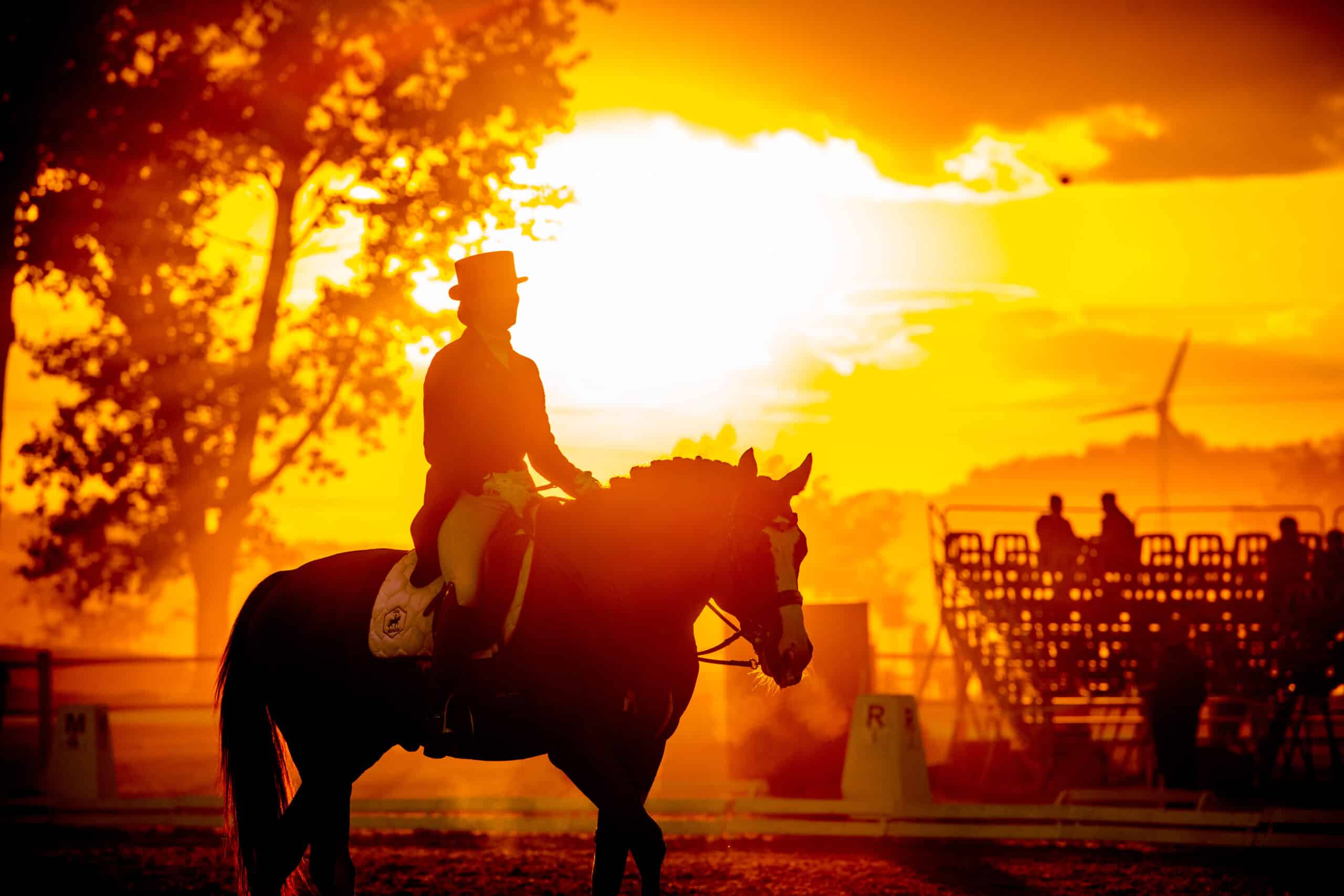 paard