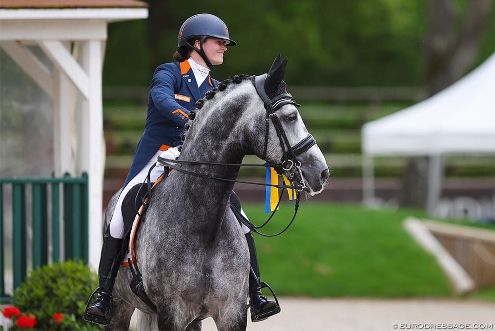 stalhexagon-paard