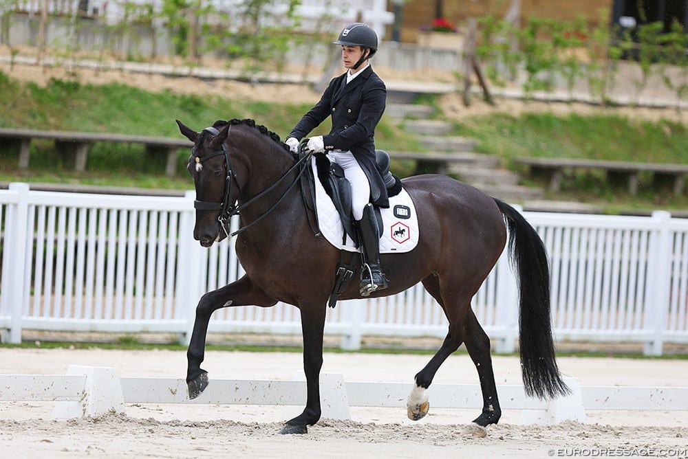 Joella Compiegne 23 paard-5