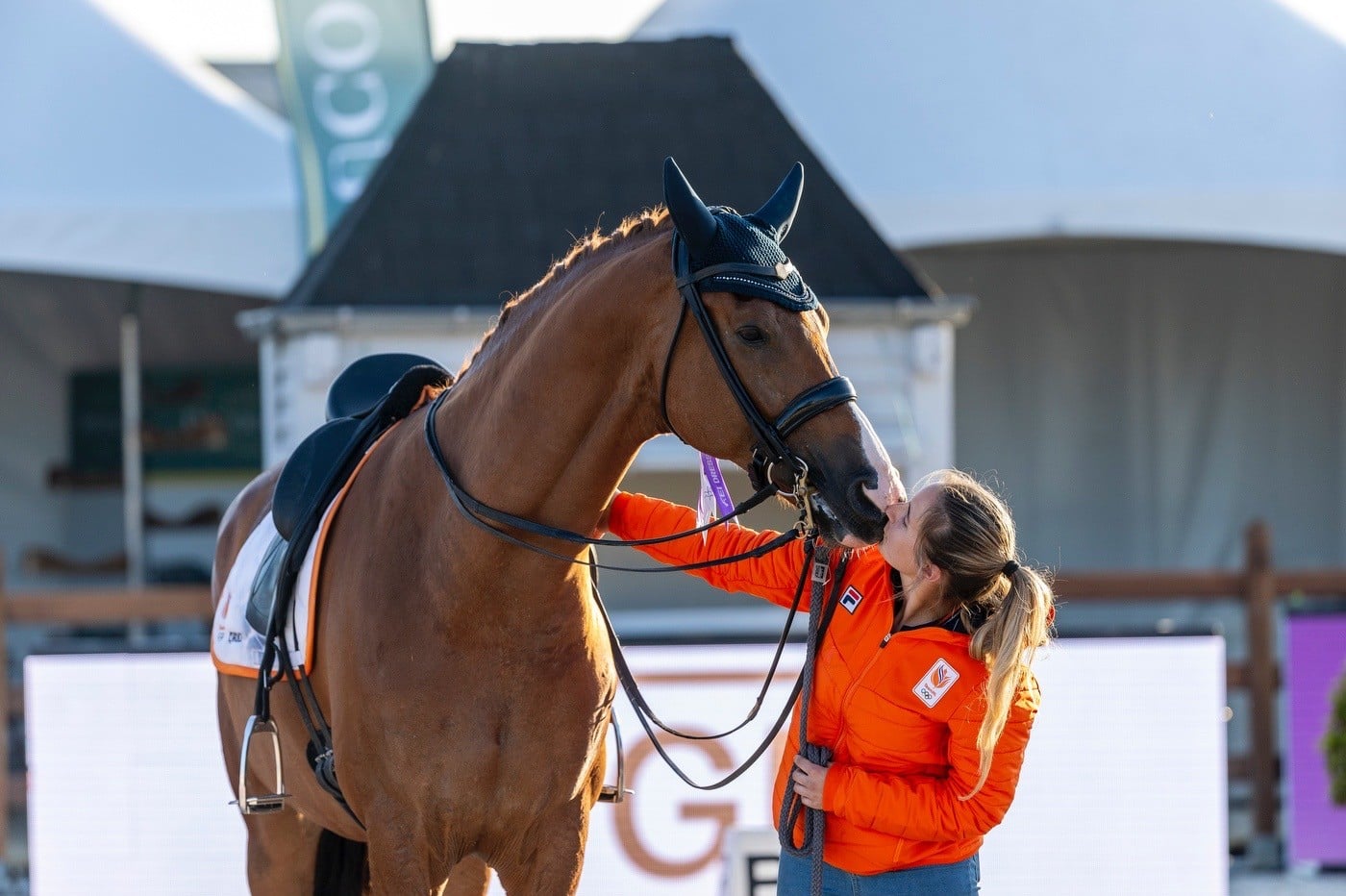 stalhexagon-paard
