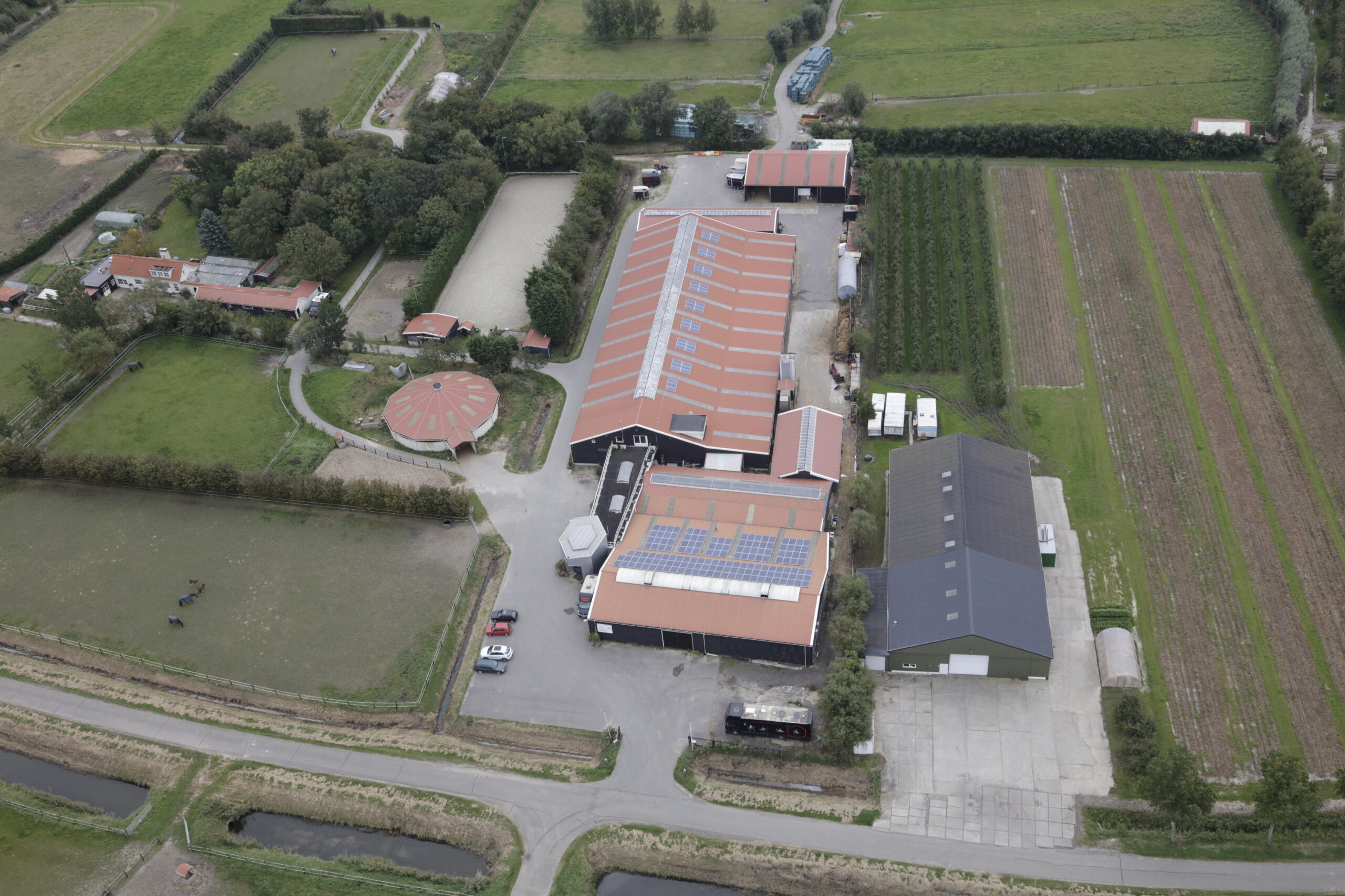 stalhexagon-paard