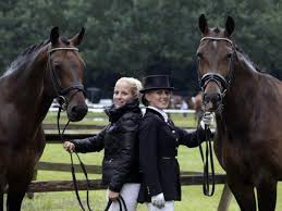 Nijpjes stalhexagon-paard