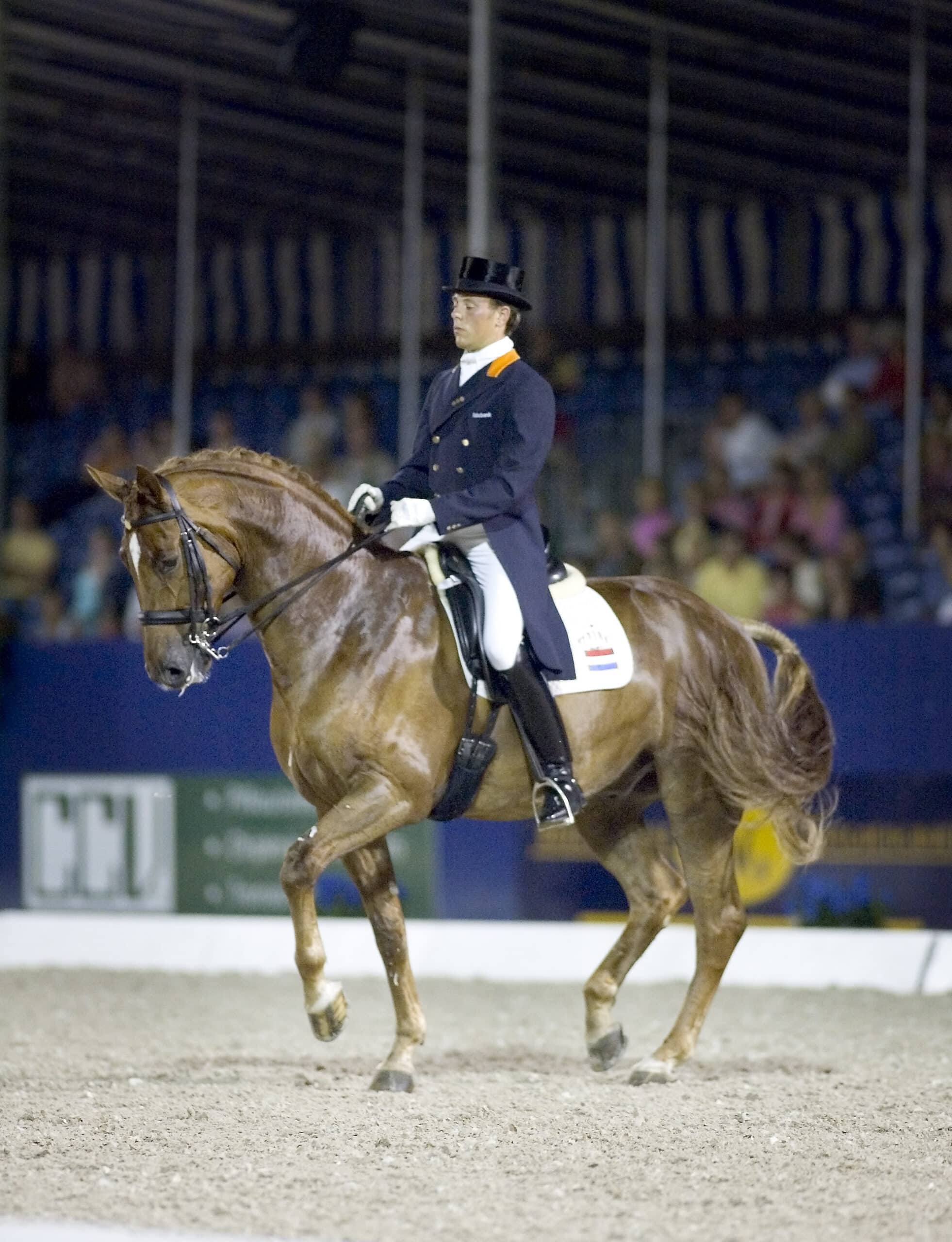 Piaffe de Steegh paard