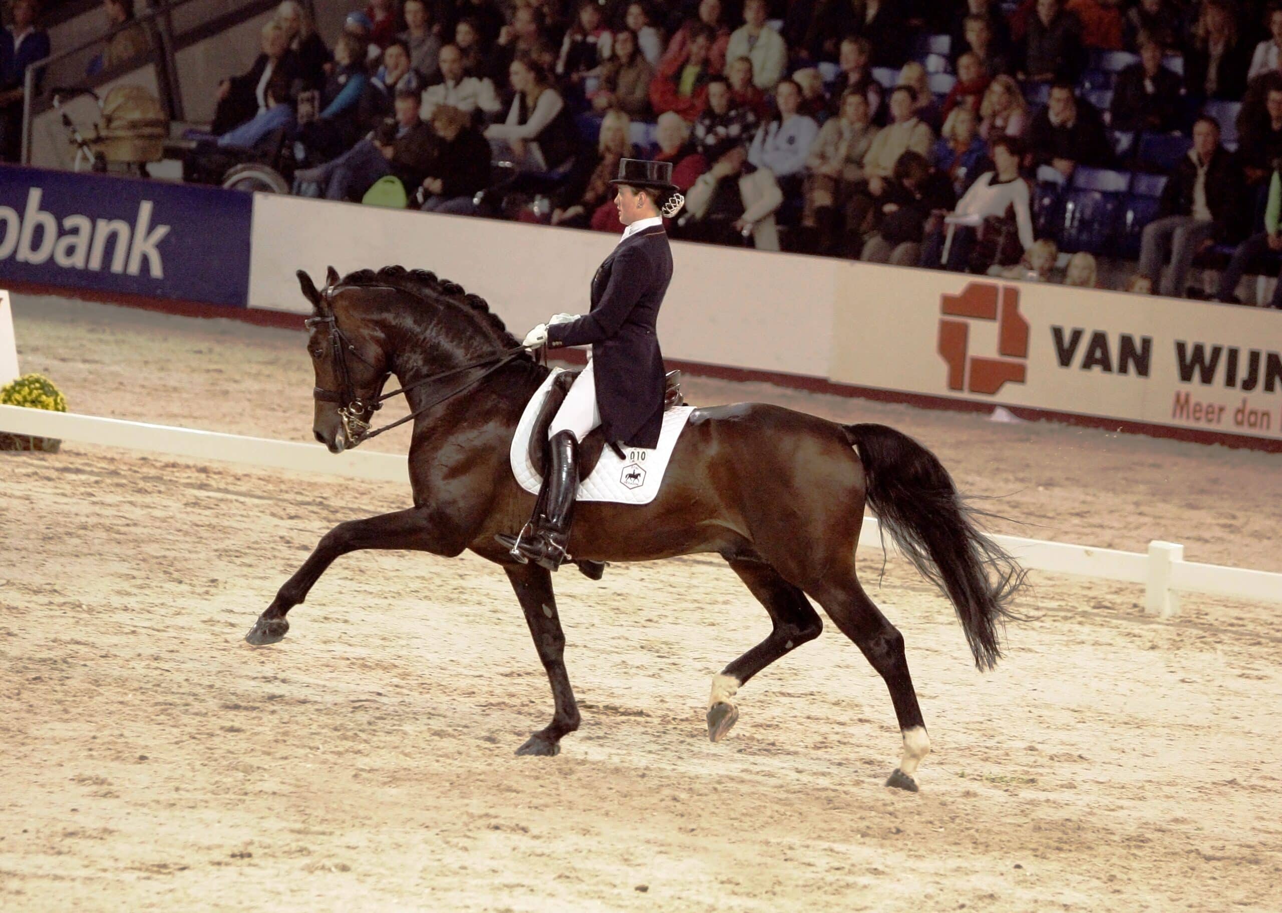 Thamar en Rubi paard-5