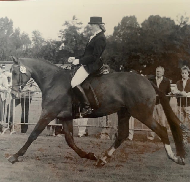 paard