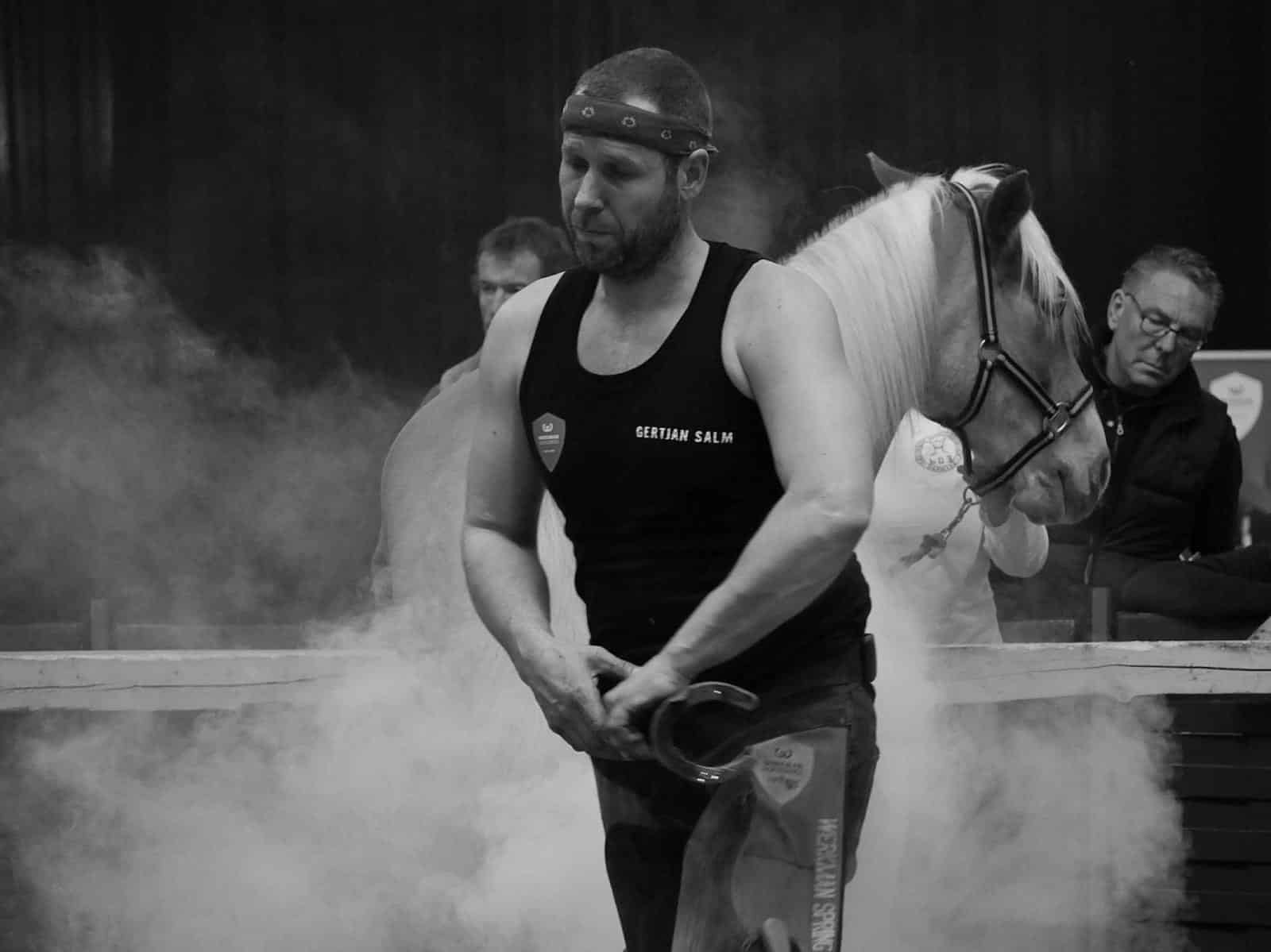 stalhexagon-paard