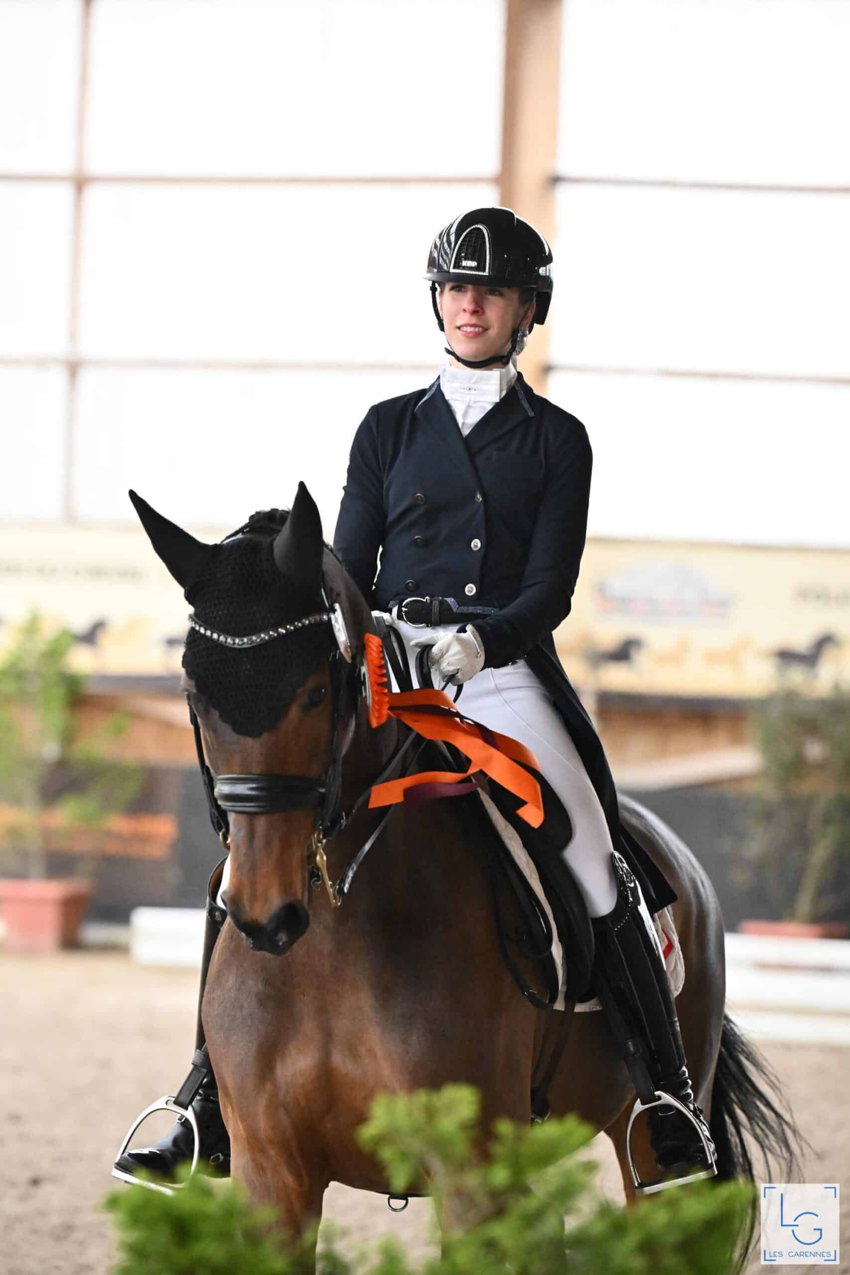stalhexagon-paard