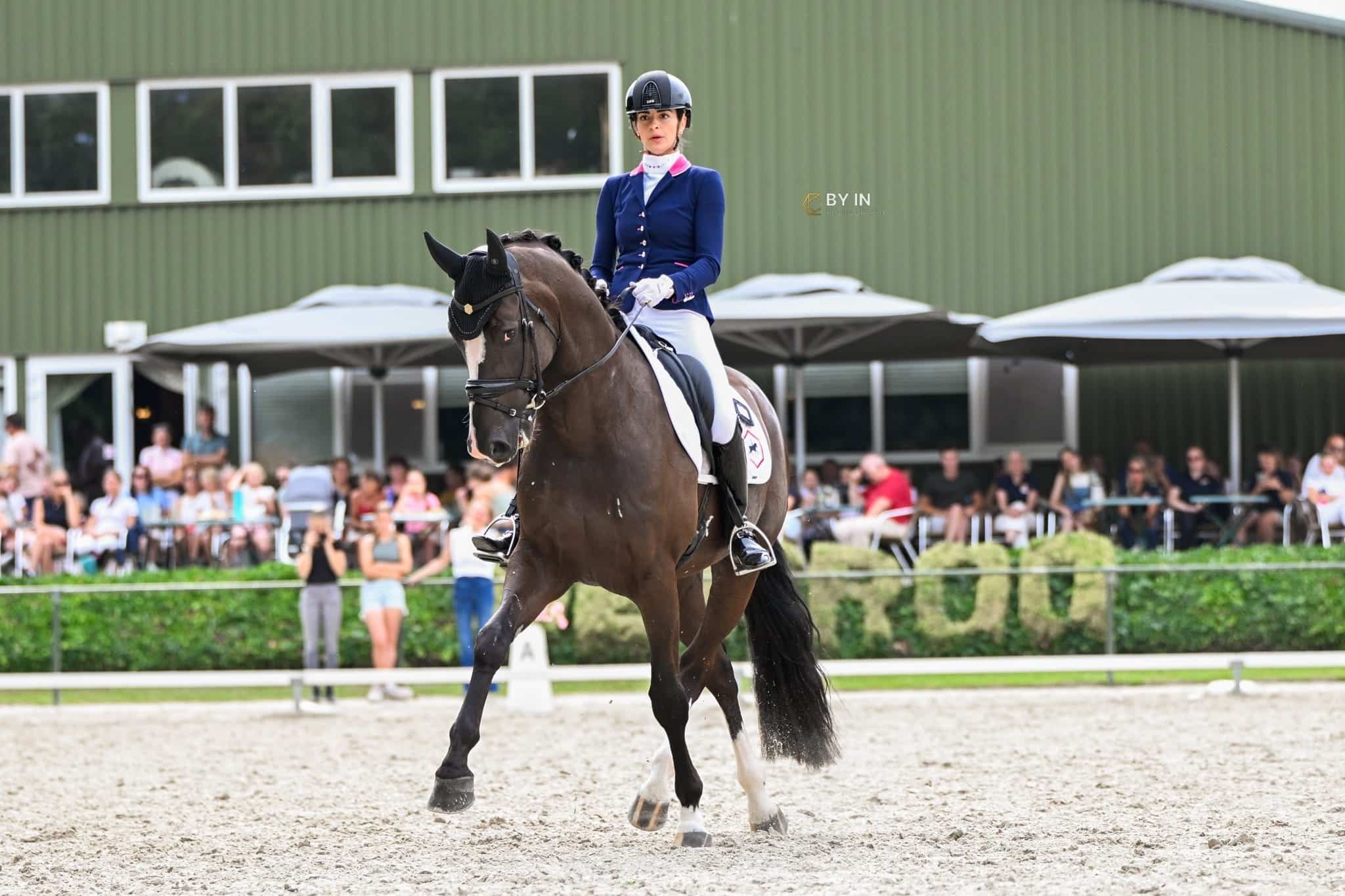 stalhexagon-paard