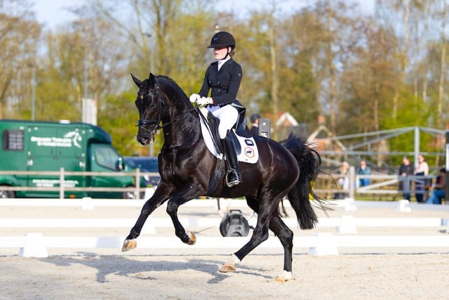 roos stalhexagon-paard